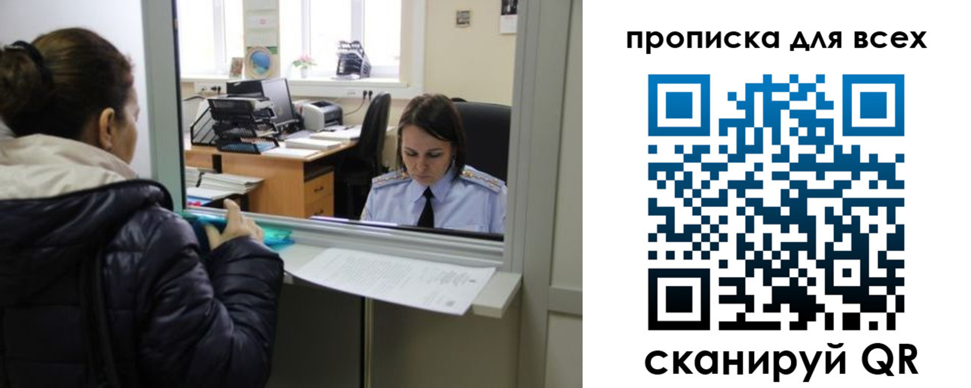 прописка гарантия в Светлом